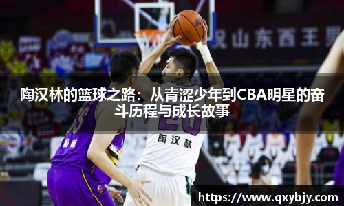 陶汉林的篮球之路：从青涩少年到CBA明星的奋斗历程与成长故事